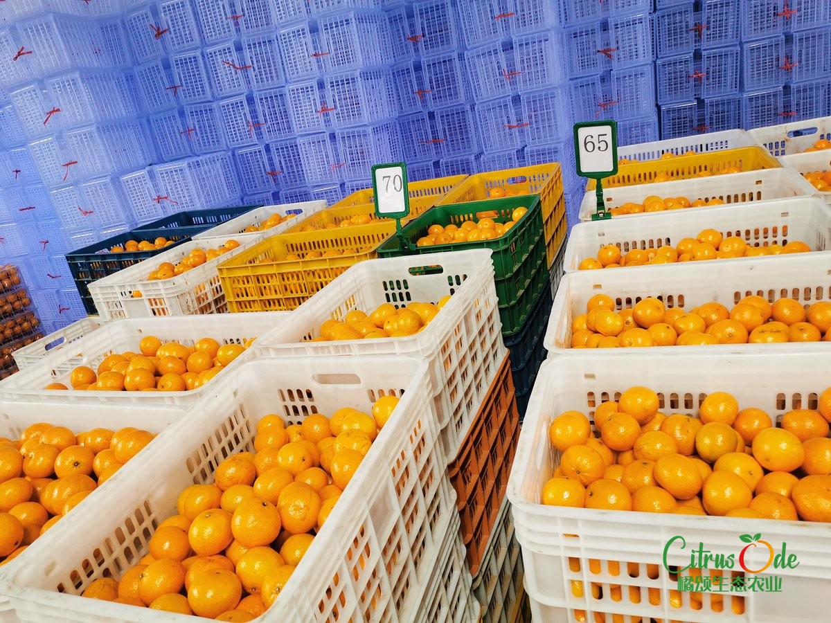企业团购礼盒